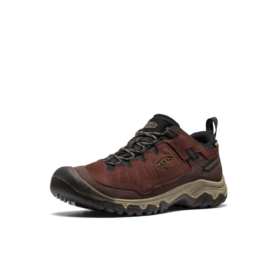Men's Targhee IV Waterproof Hiking Shoe Java/Bison