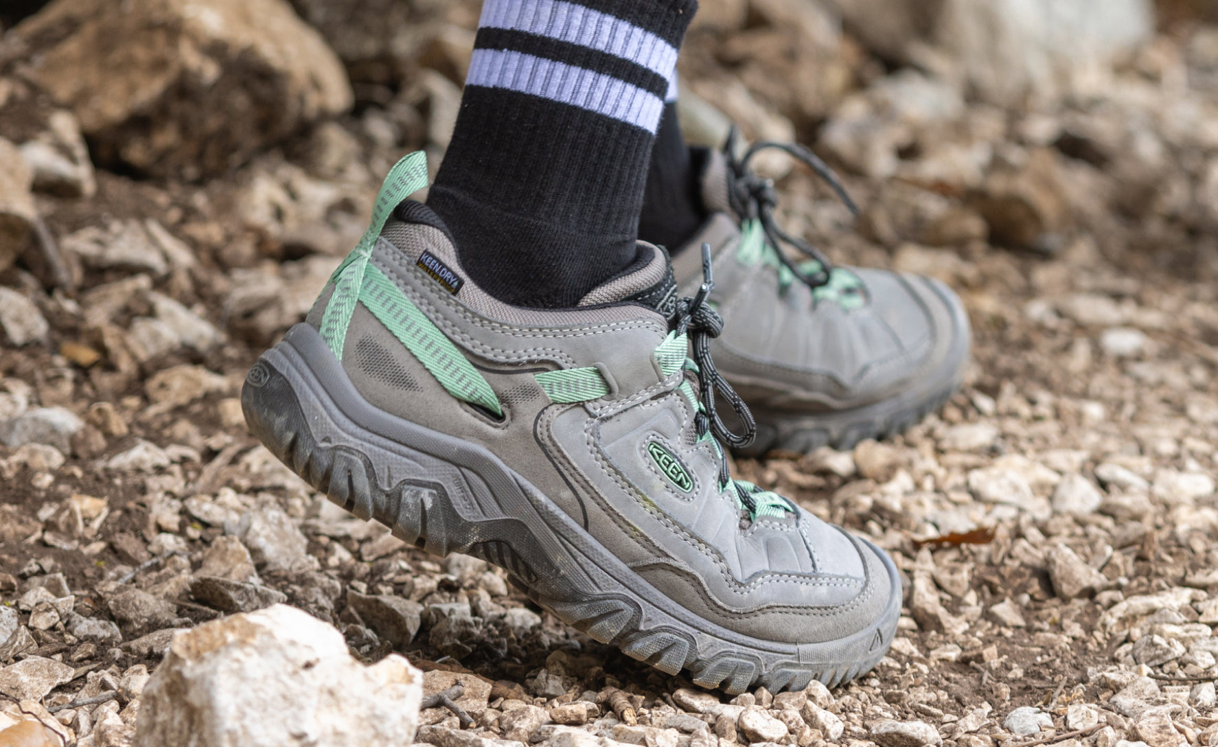 Women's Targhee IV Waterproof Hiking Shoe Abbey Stone/Lily Pad