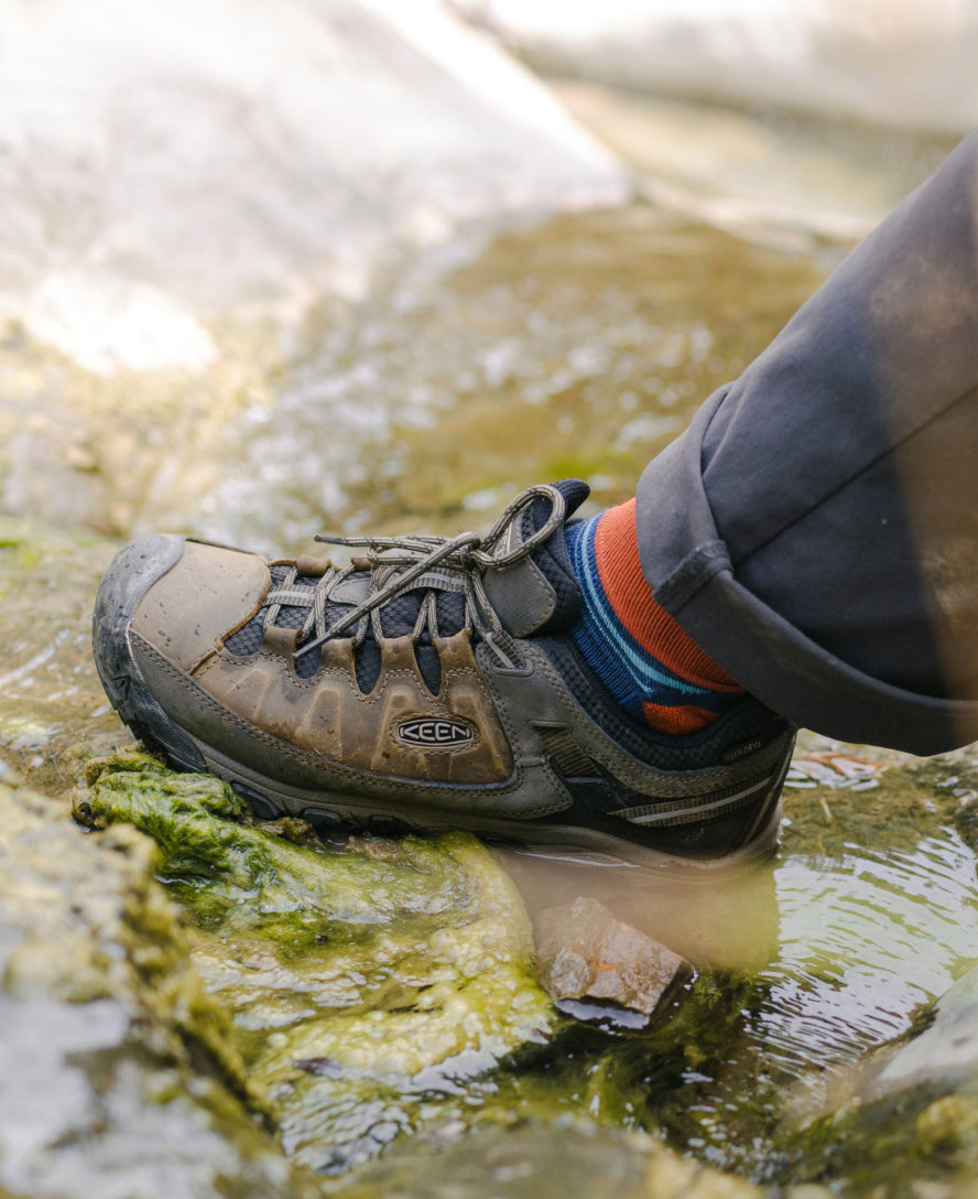 Men's Targhee III Waterproof Black Olive/Golden Brown